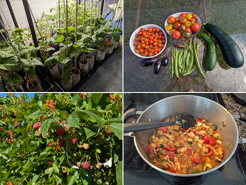 2025 vegetable gardening