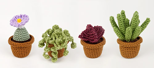 Succulent Collection 3 crochet pattern by PlanetJune
