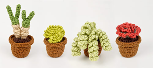 Succulent Collection 4 crochet pattern by PlanetJune