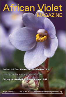 african violet magazine