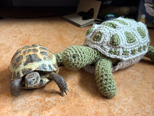Anna's Tortoise Door Stopper, made from the PlanetJune Tortoise crochet pattern