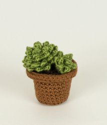 (image for) Succulent Collection 1: FOUR realistic crochet patterns