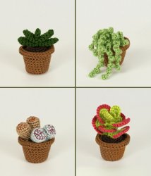 (image for) Succulent Collection 2: FOUR realistic crochet patterns
