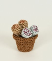 (image for) Succulent Collection 2: FOUR realistic crochet patterns
