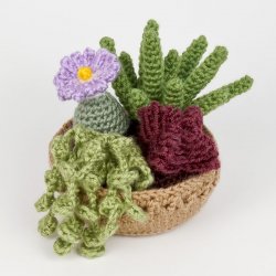 (image for) Succulent Collection 3: FOUR realistic crochet patterns