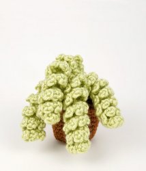 (image for) Succulent Collection 4: FOUR realistic crochet patterns