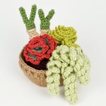 (image for) Succulent Collection 4: FOUR realistic crochet patterns