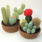 (image for) Cactus Collections 1 and 2 - EIGHT crochet patterns