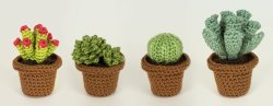 (image for) Succulent Collections 1 and 2 - EIGHT crochet patterns