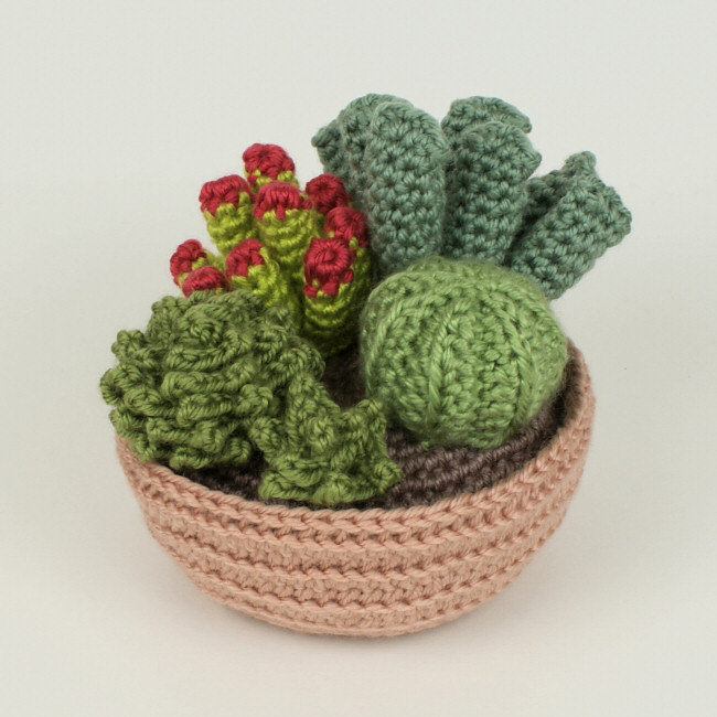 (image for) Succulent Collection 1: FOUR realistic crochet patterns - Click Image to Close
