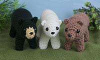 black, brown and polar bears multipack