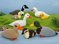 duck and goose collection multipack